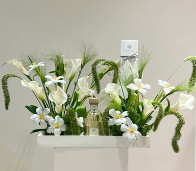 collection-img