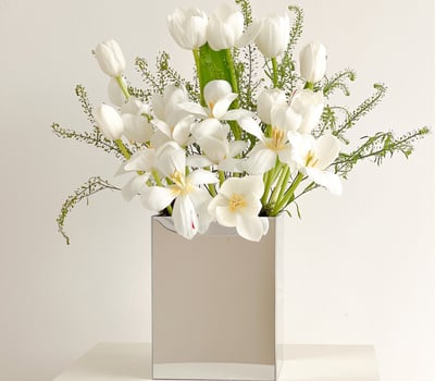 collection-img