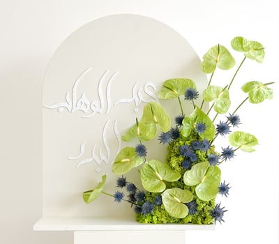 collection-img