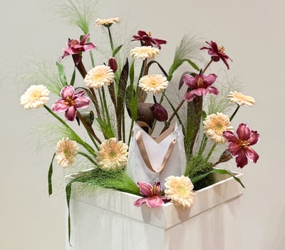collection-img