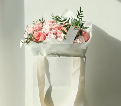 collection-img