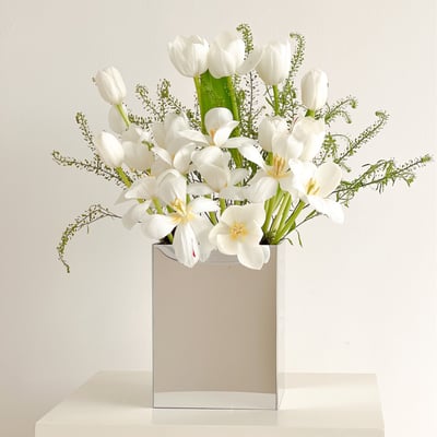 collection-img