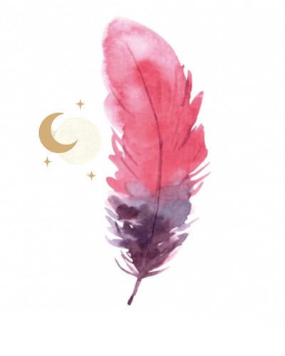 collection-img