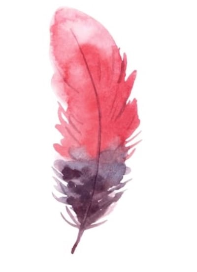 collection-img