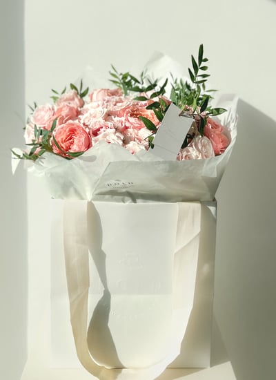 collection-img
