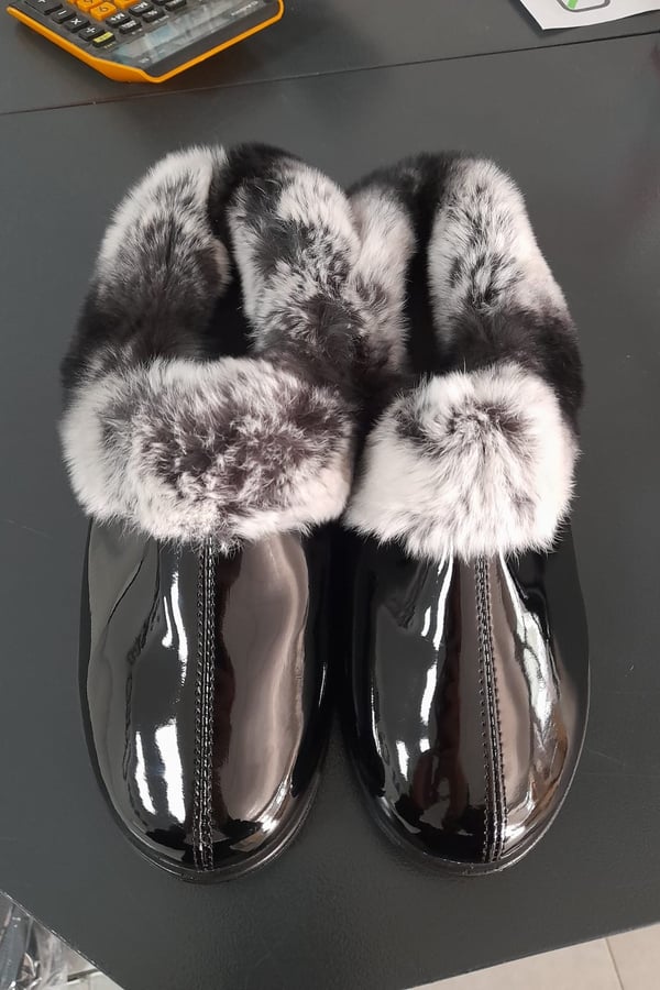 Rex shoes